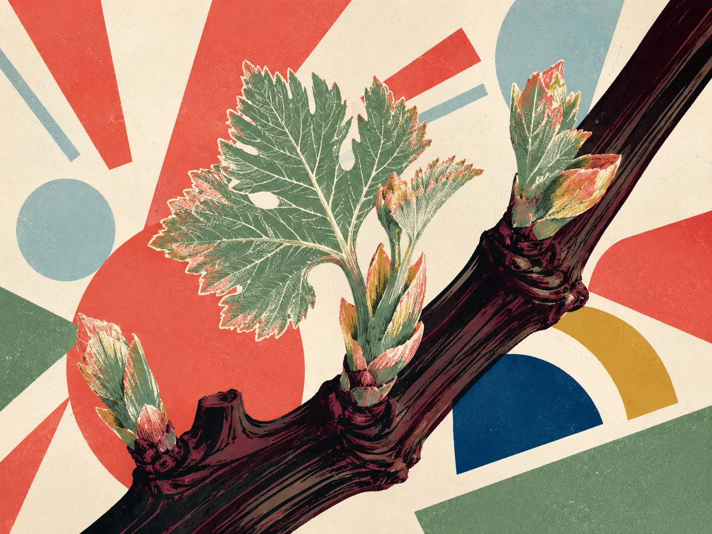 Émergence · Interprétation graphique du cycle