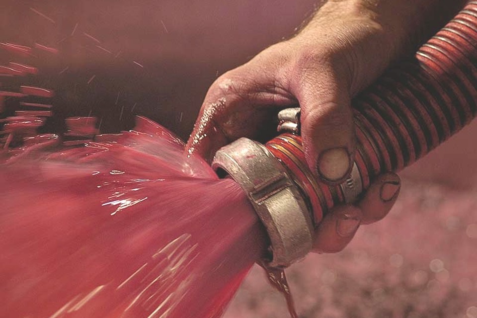 Main et tuyau de chai, moût rouge. Photo Emmanuel Perrin